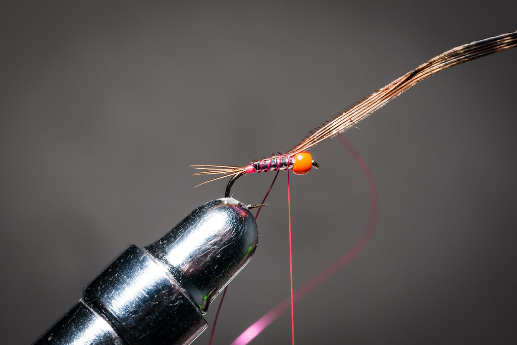 9. Cover the back of the tinsel body with the pheasant tail fibres, fixing it with the copper wire rib