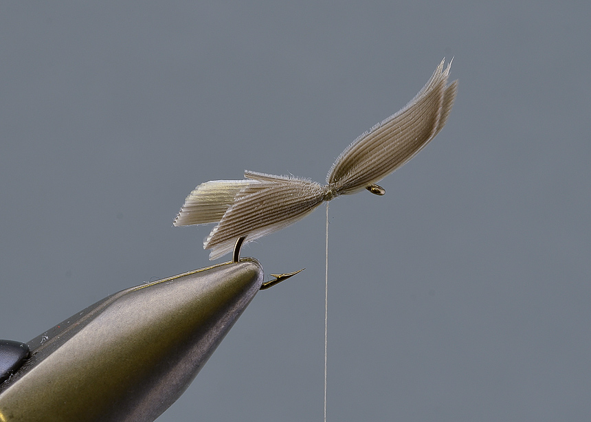 4. Tie in the wing with a pinch and loop, make sure its tied on straight. The wing should be a little longer than the hook, the distance from the hook eye to the middle of the hook bend is usually about right.
