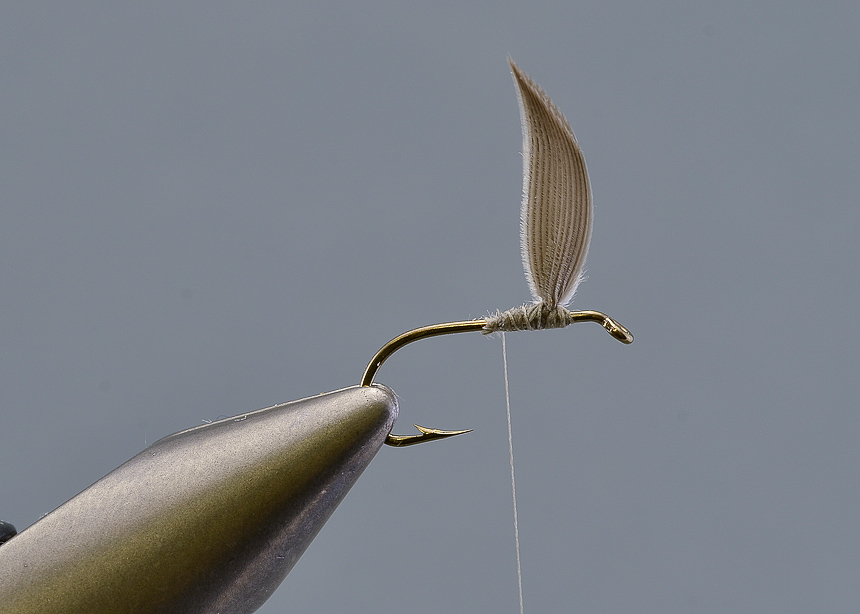 5. Raise the wing up by beading up hard with thread in front of the wing. Then make some figure of eights around the wings to secure them in position.