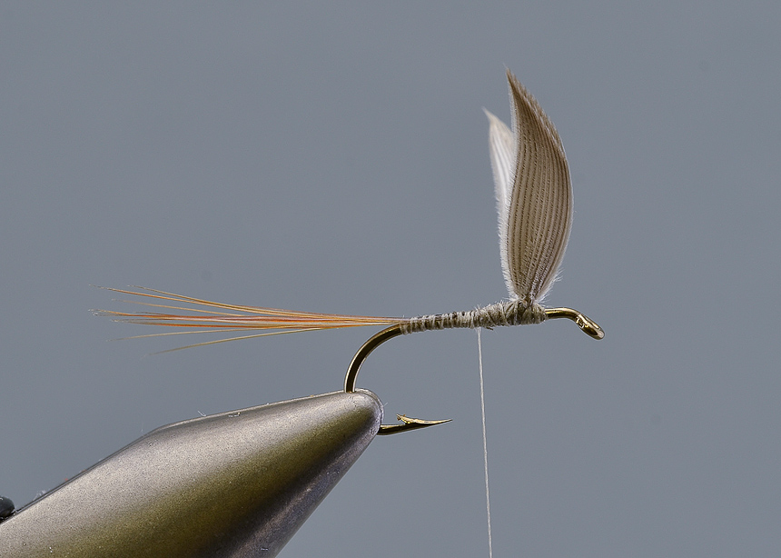 6. Tie in the tail, which should be stiff web-free hackle barbs, The length of the tail should be at least the length of the hook.
