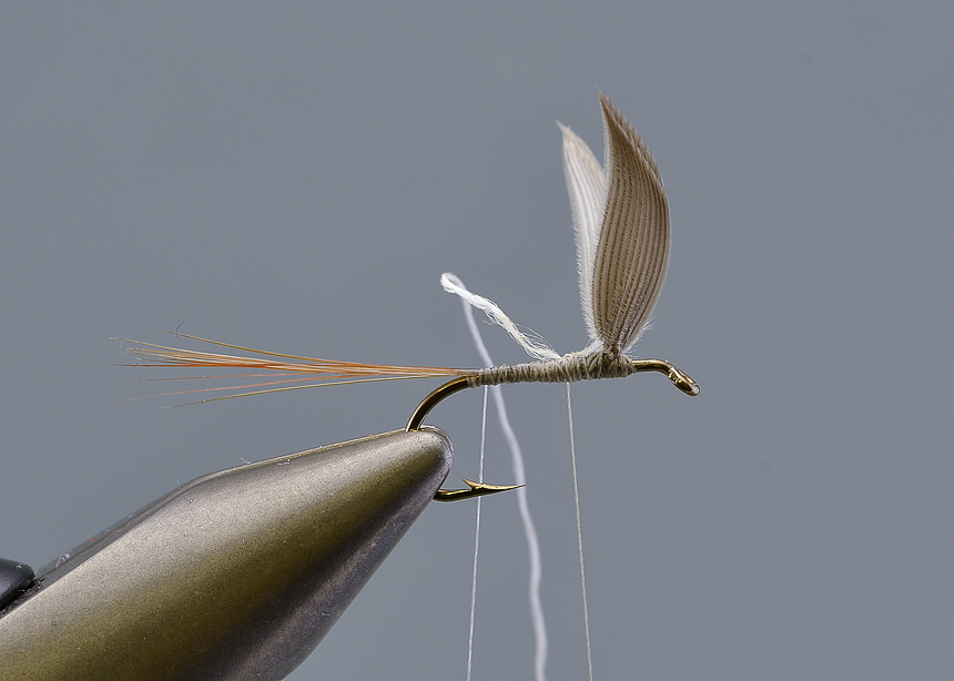 7. Tie in a piece of thin white thread by the tail, this will later be used to secure the body hackle to the hook. Tie in the white silk floss for the body.