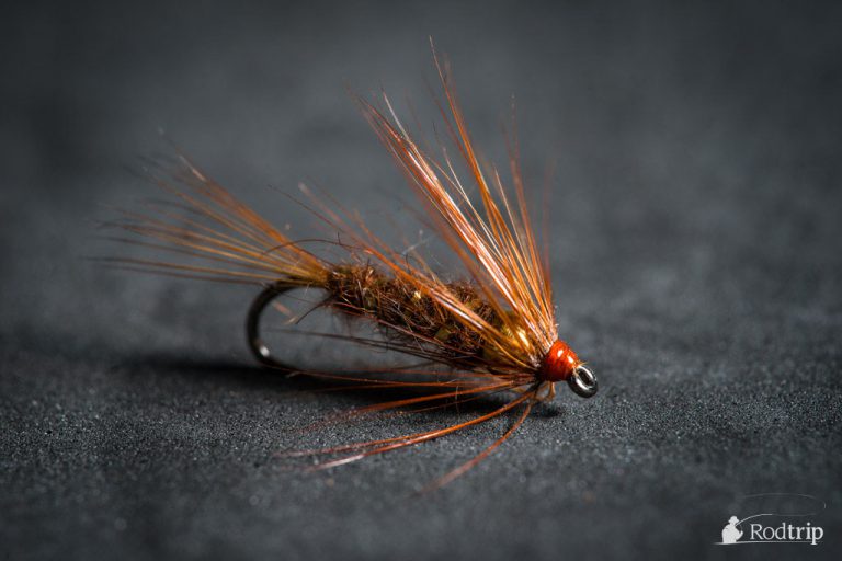 March Brown Nymph tied by Mathias Briquemont.