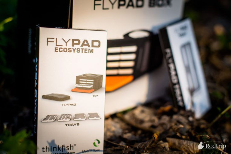 Thinkfish_flypad_DSC7650