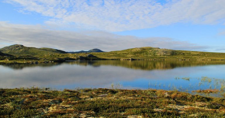 Vegard-Jonnevald_Hardangervidda_featured