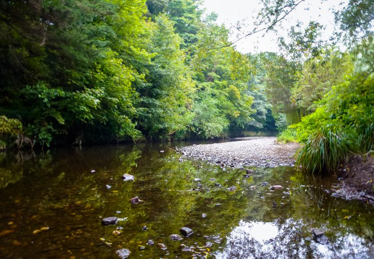 Fishing_Dublin_1680_River2