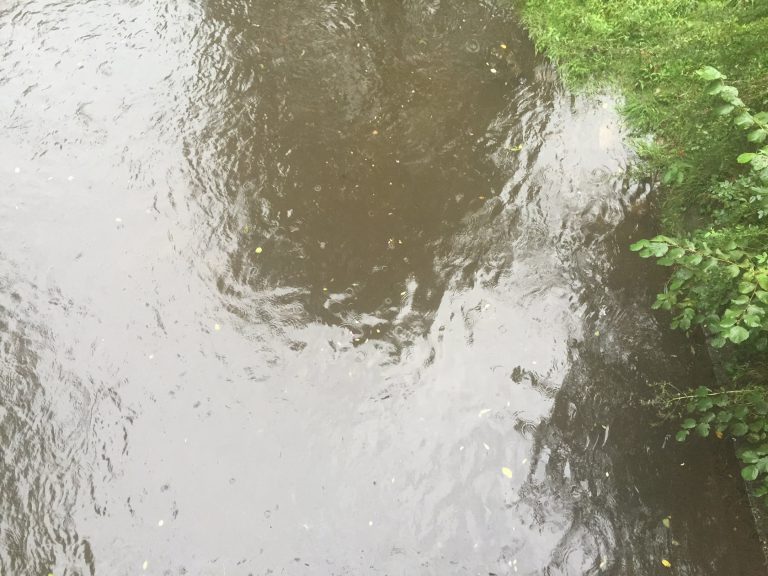The river, right after the rain ! Who want some chocolate milk ?