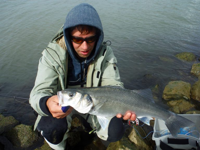 09-sea-bass