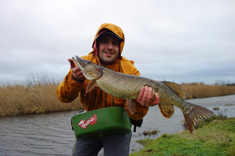 pikeseason2015-DSC00694